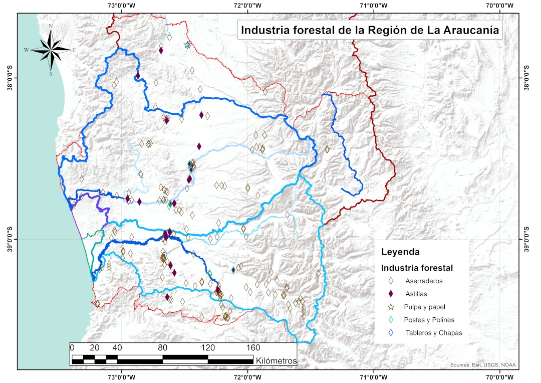 Industria forestal en la Región de La Araucanía.