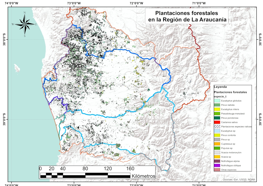 Actividad forestal en la Región de La Araucanía